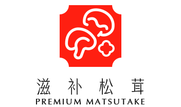 brand-logo5